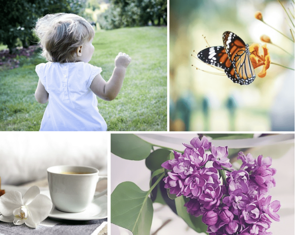 Kuvamontaasi, jossa erilliset kuvat nuoresta lapsesta, perhosesta, teekupista sekä violetista kukasta.